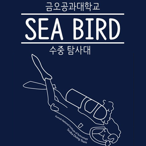 seabird